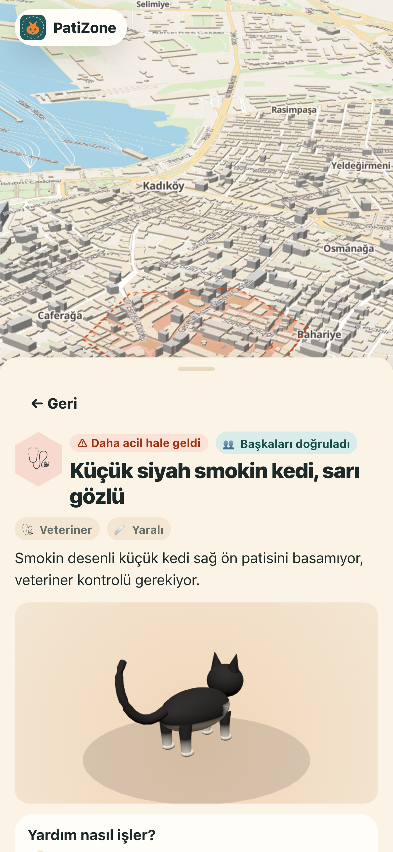 3D kedi ve bildirim detayı